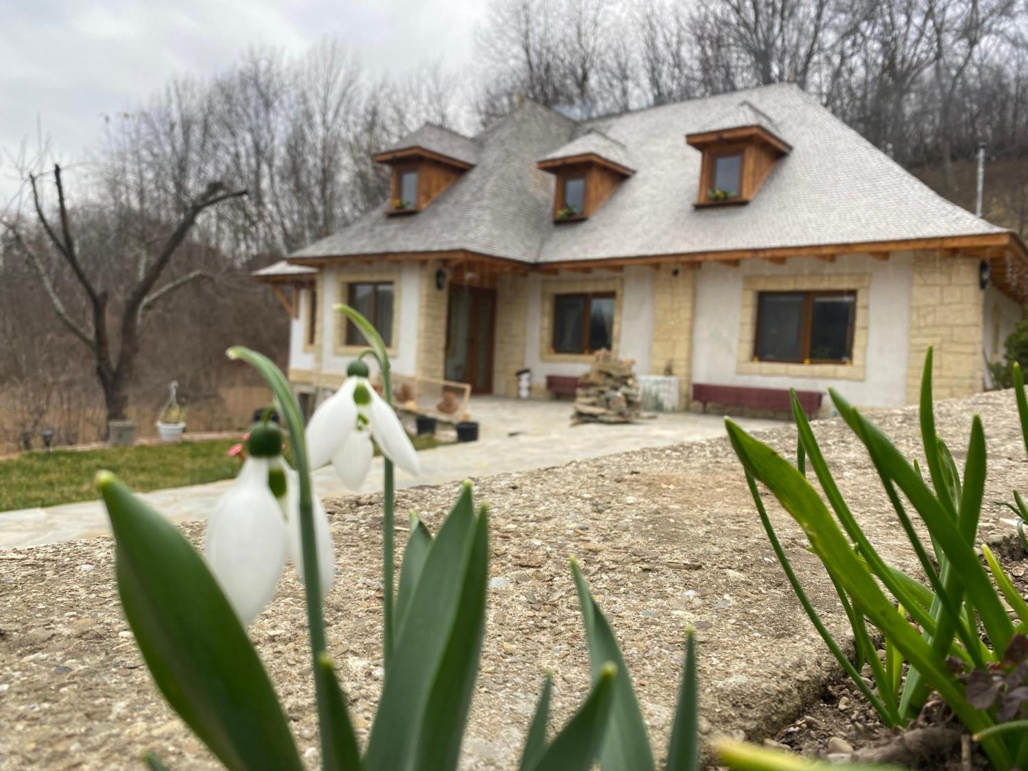 Villa Casa Cu Sindrila Vălenii de Munte Exterior foto