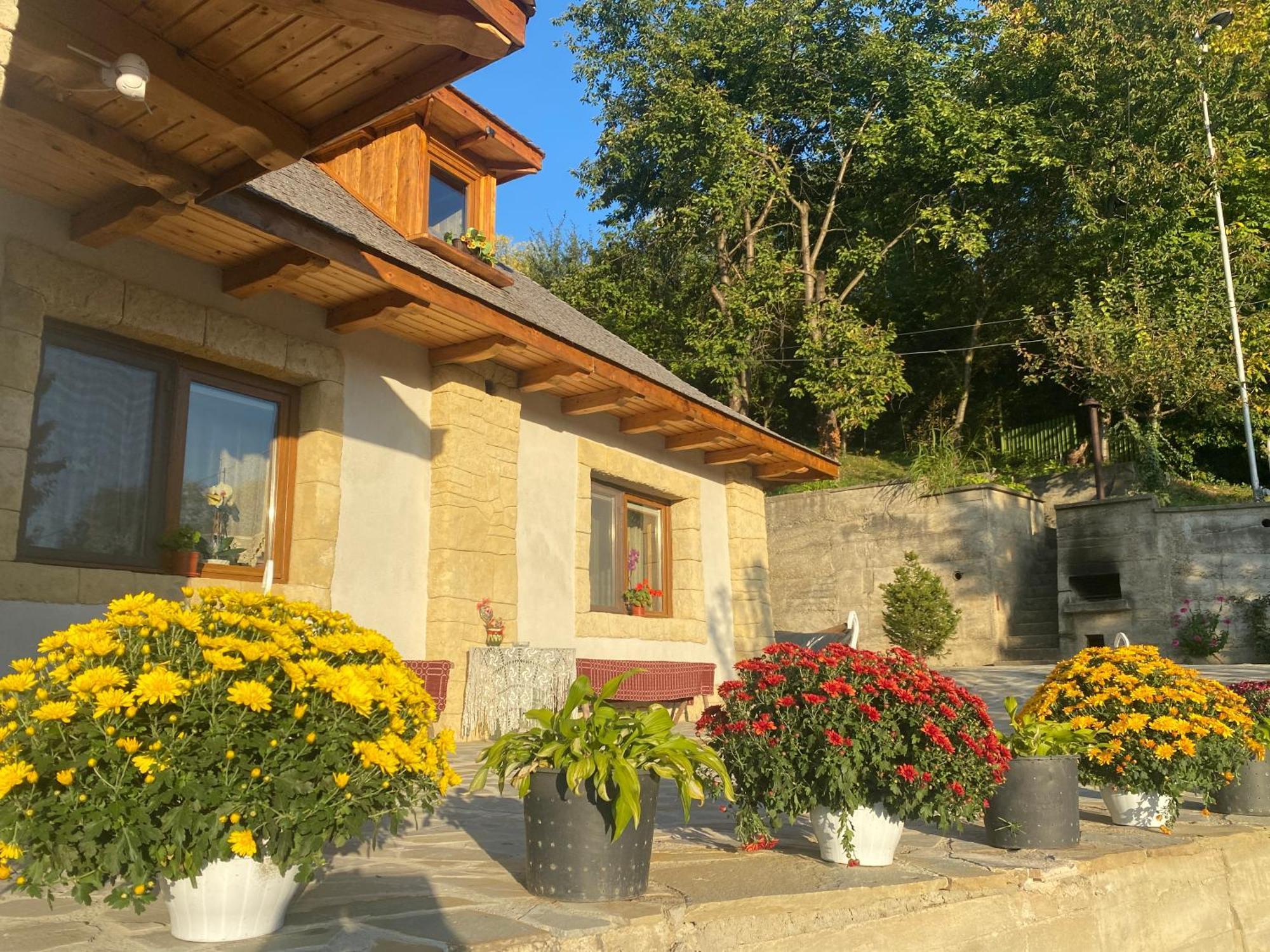Villa Casa Cu Sindrila Vălenii de Munte Exterior foto
