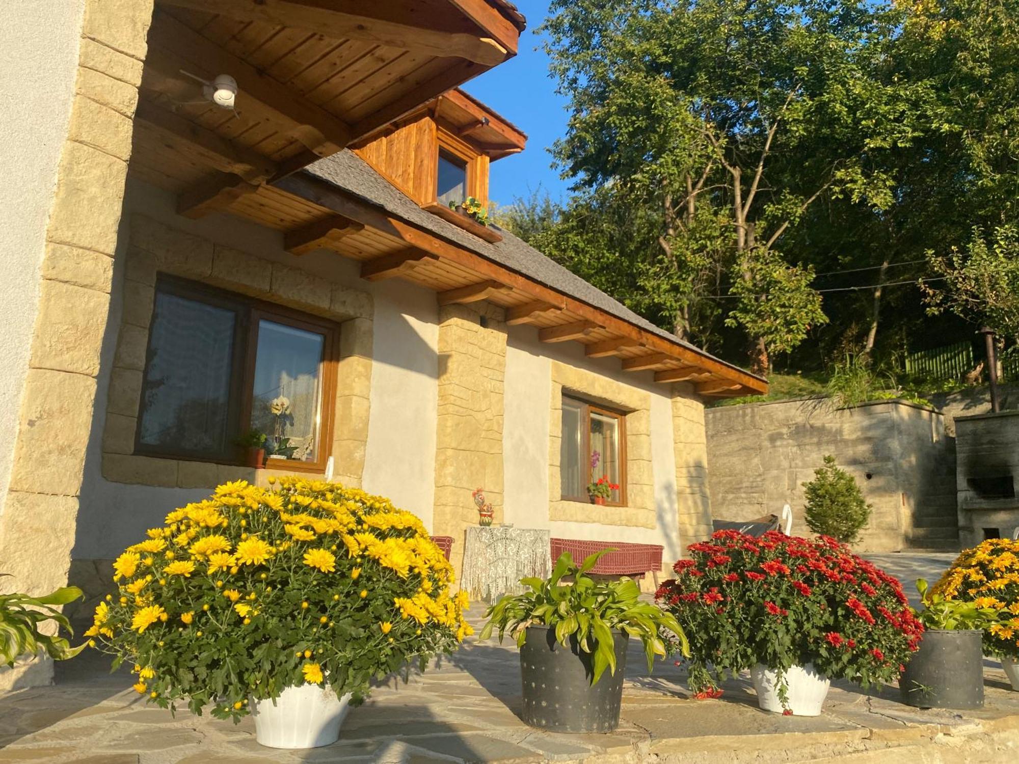 Villa Casa Cu Sindrila Vălenii de Munte Exterior foto