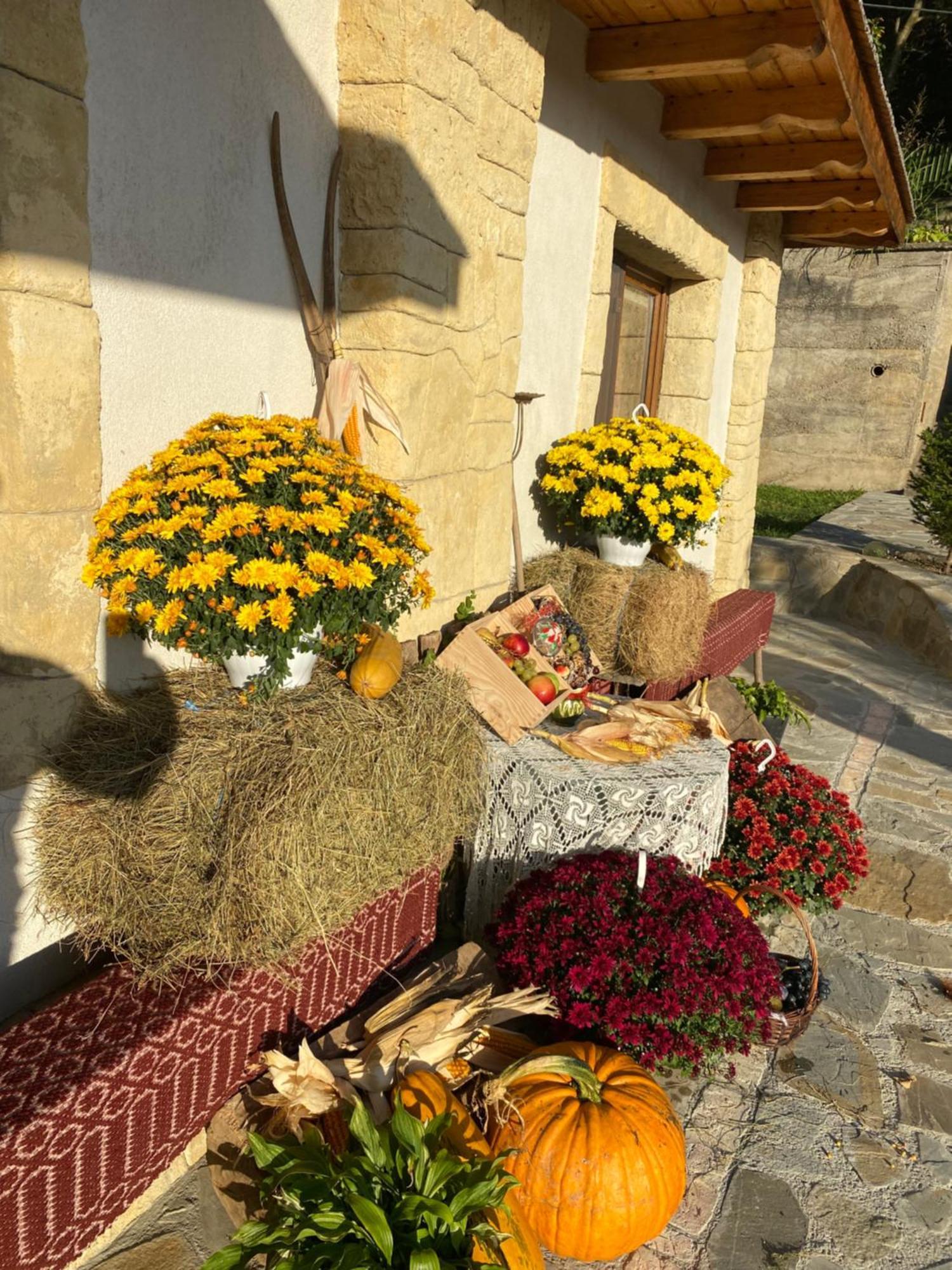 Villa Casa Cu Sindrila Vălenii de Munte Exterior foto